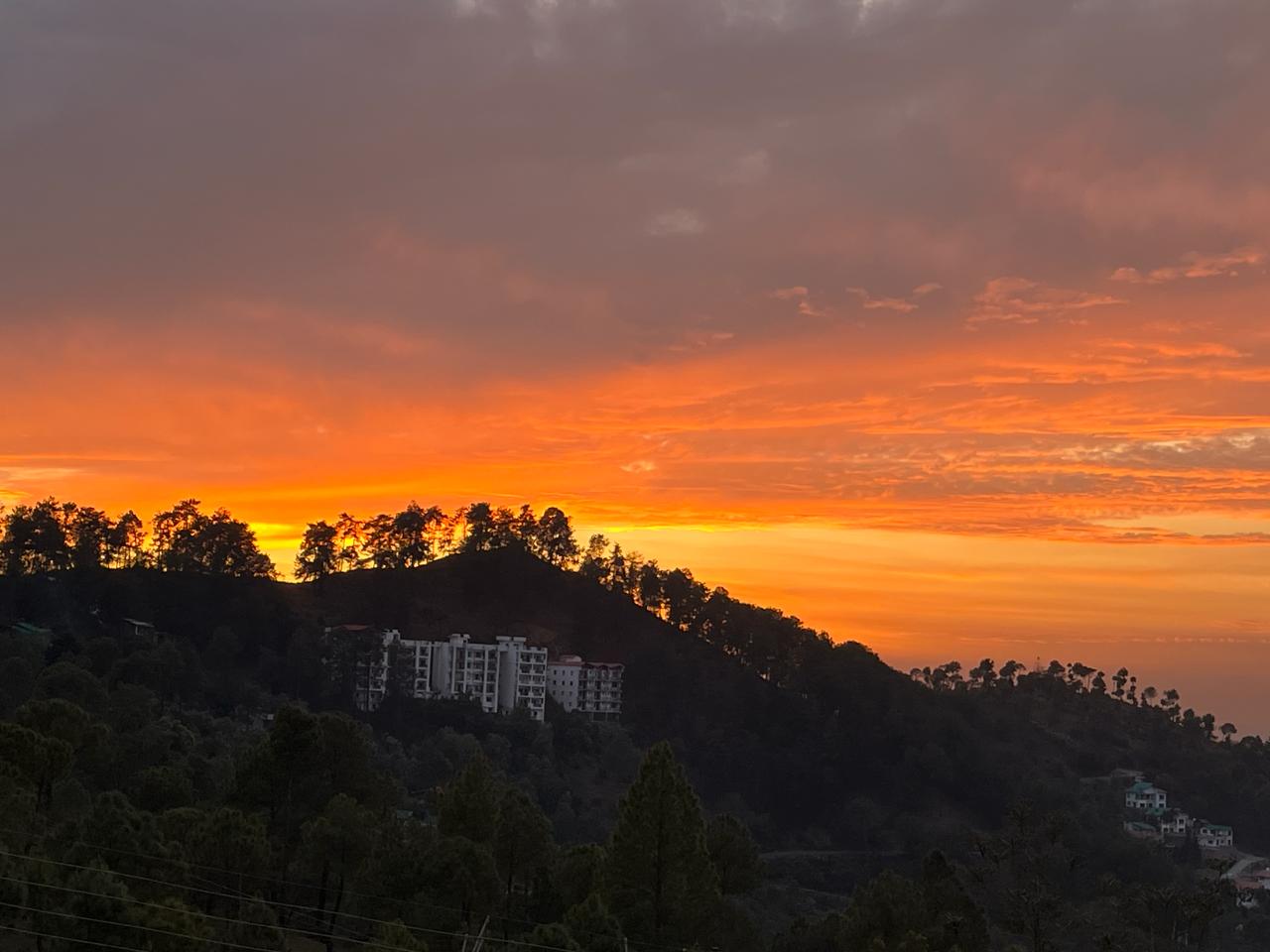woodsvilla_residency_ranikhet_img