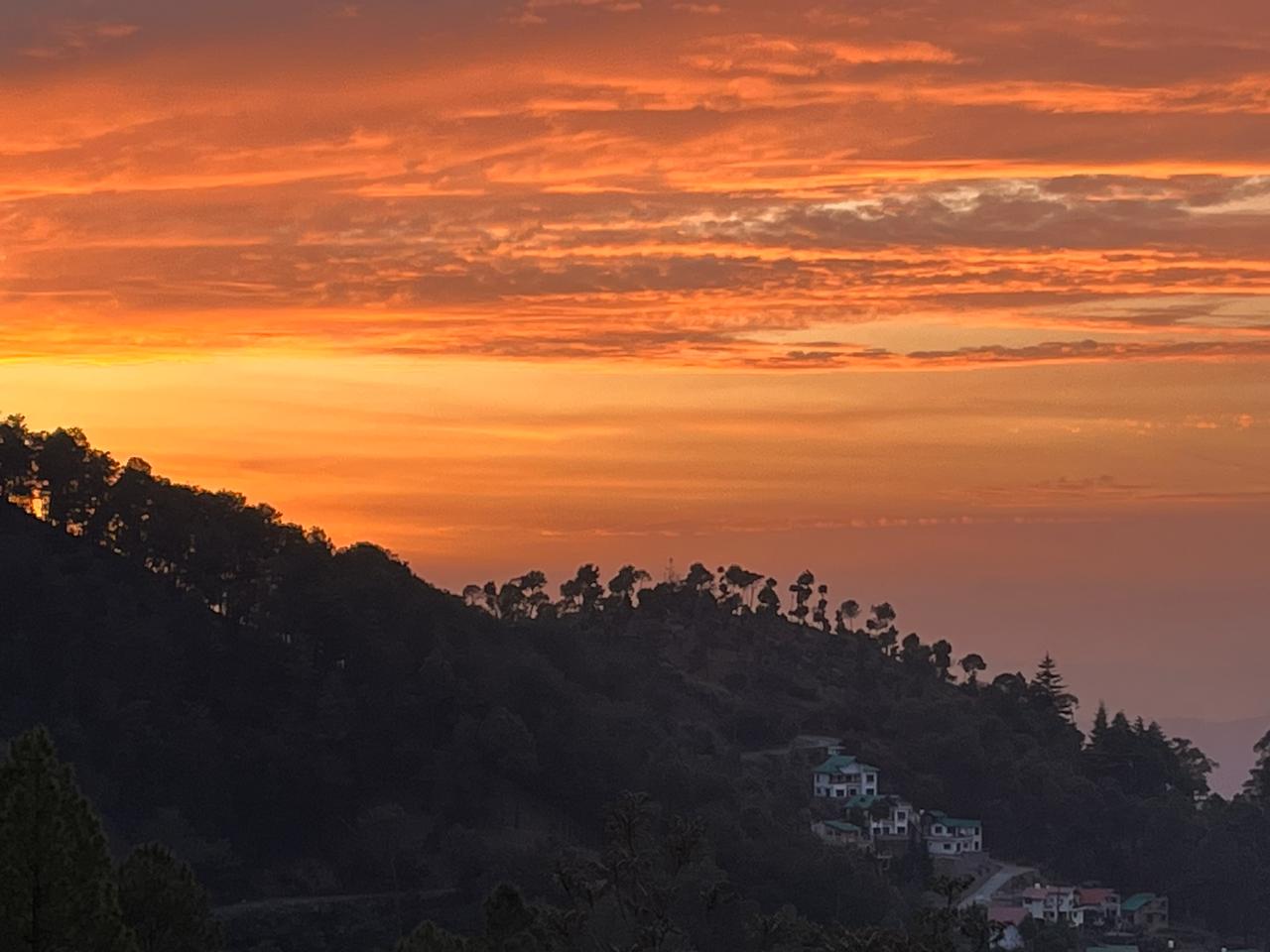 woodsvilla_residency_ranikhet_img