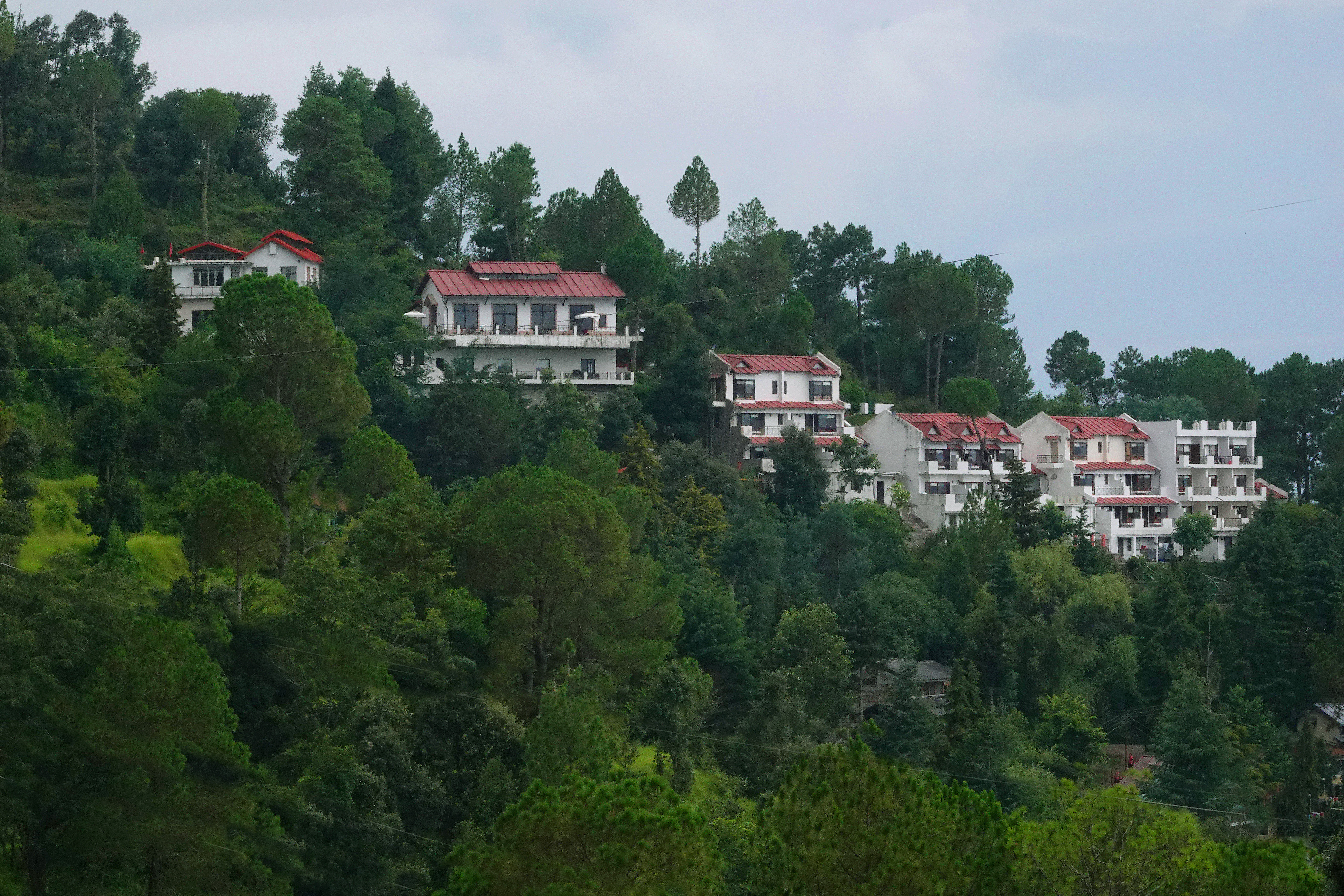 woodsvilla_resort_ranikhet_img